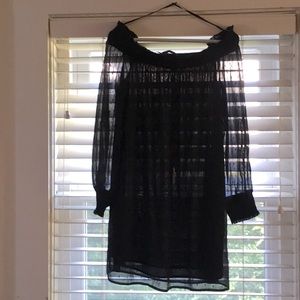 Sheer Sparkly Zara Dress w/ Lining, Off-the-Shoulder